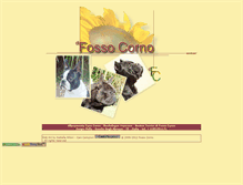 Tablet Screenshot of fossocorno.com